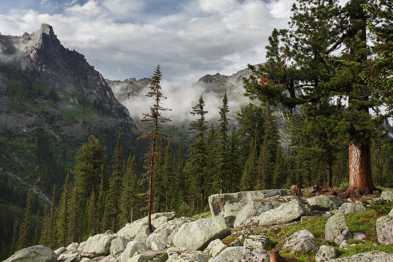 ергаки, саяны, озеро художников, сибирь, пейзаж, красиво, лето, горы У озера Художников фото превью