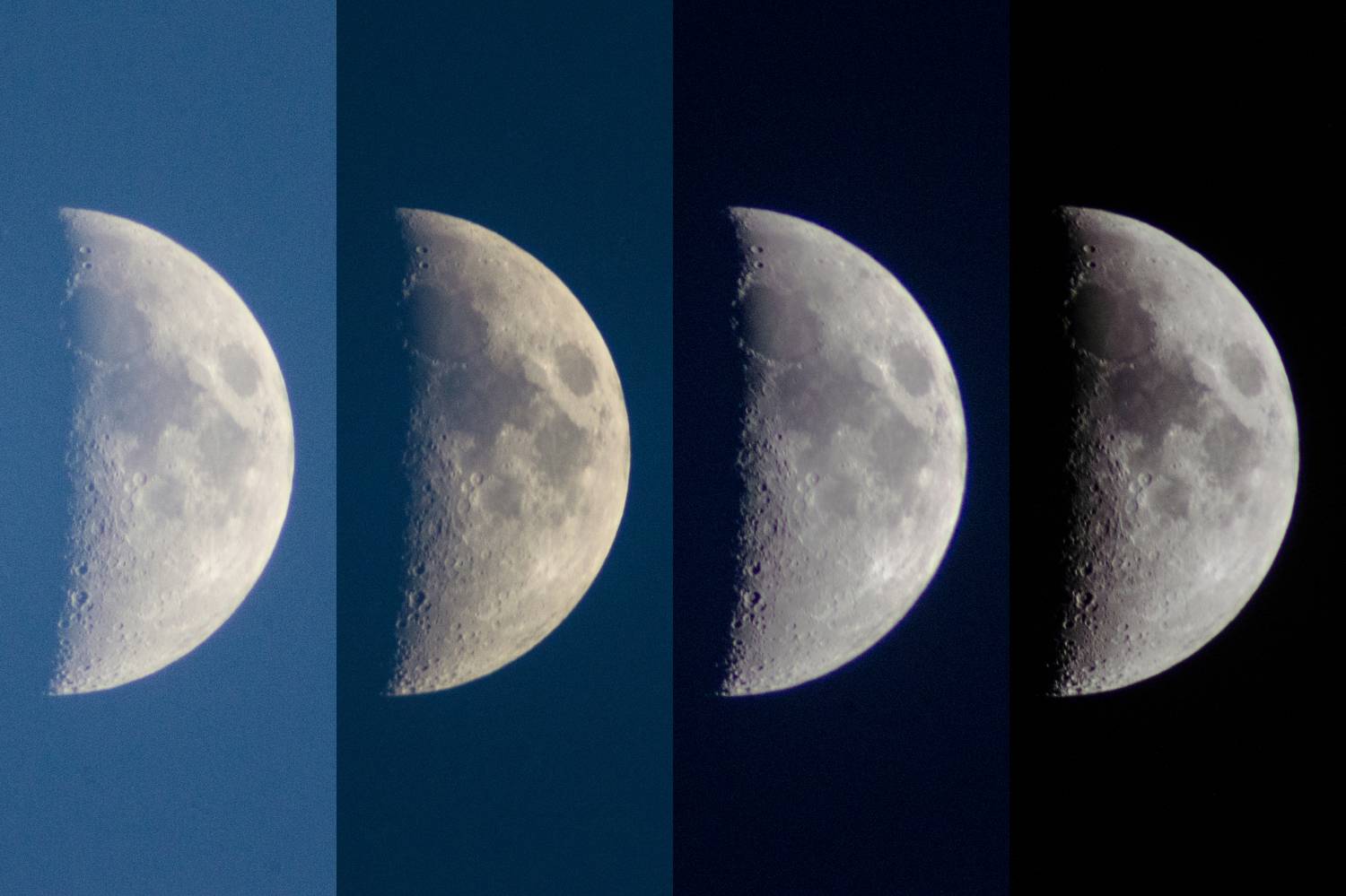 , Кудашкина Ксения