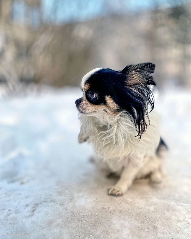 Ой!!! Я замерзла.... фото превью