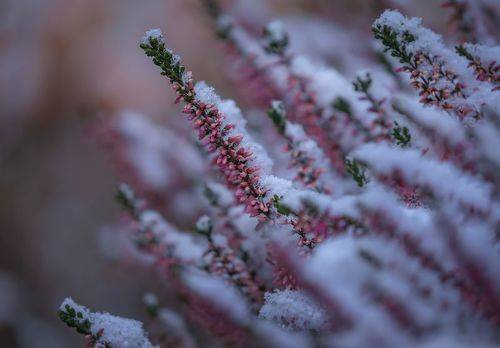 Зима и осень