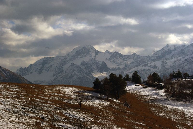 Первый снег ... фото превью