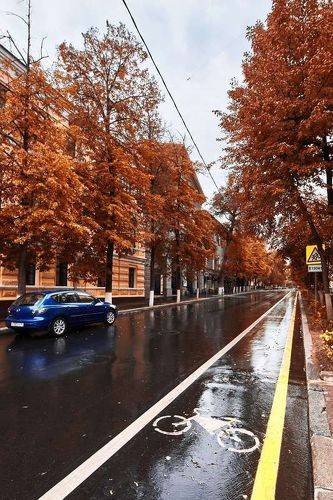 Volgograd autumn