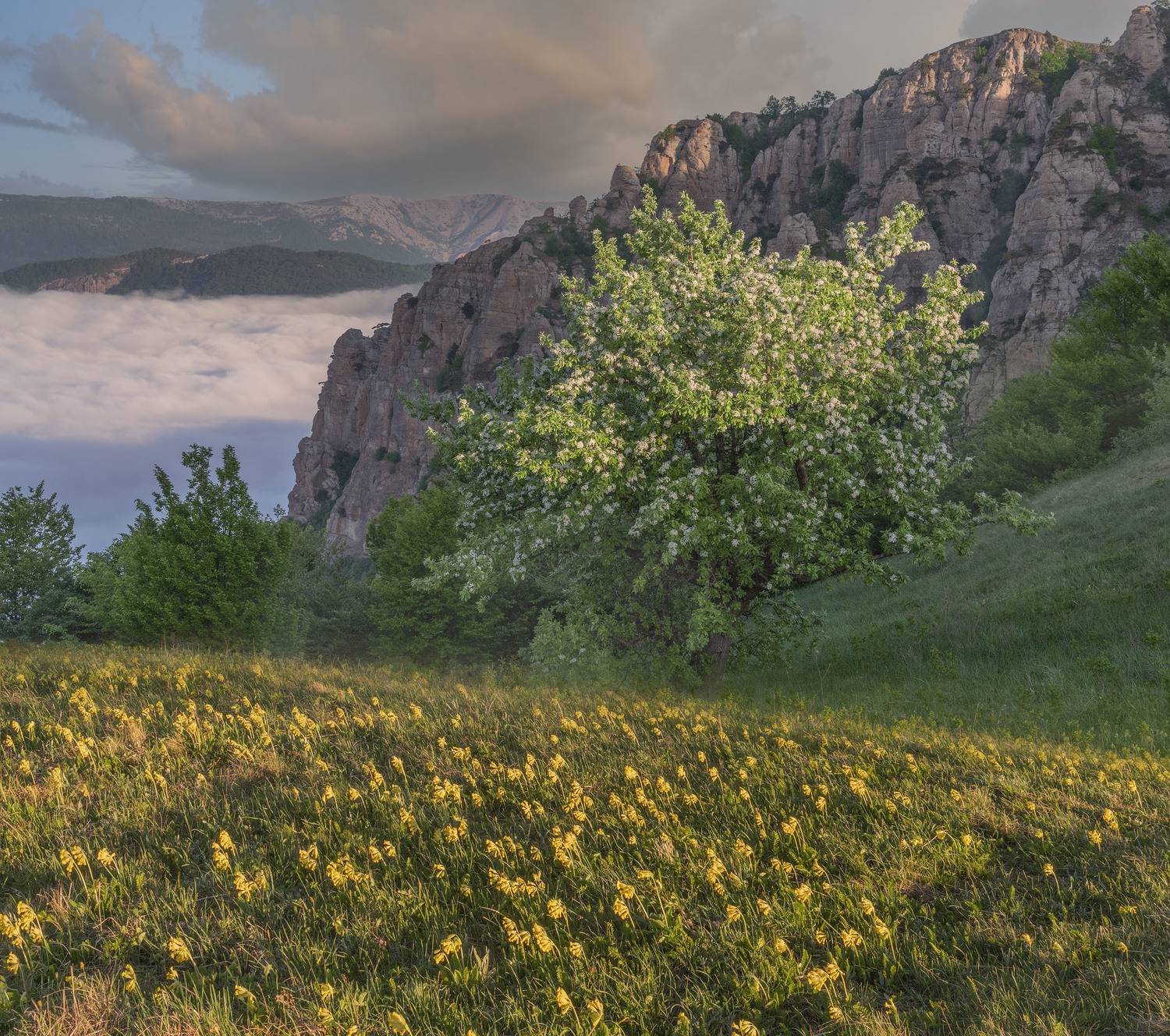 Фототуры с Владимиром Рябковым, #topnature #russpasibo #magic_shots #lovelyRussia #sunset_vision #exclusive_sky  #exclusive_shots #loves_russia2 #photoarena_nature #nature_sultans #nature_perfection #rsa_sky #rsa_sunset #photorussia #rsa_naturepics #sunse, Владимир Рябков