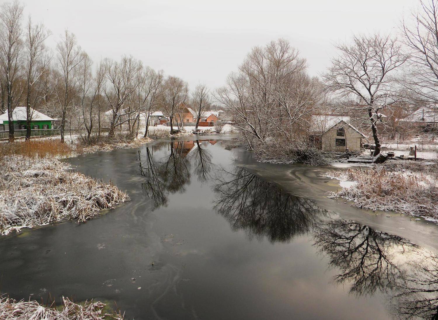 , Роман Савоцкий