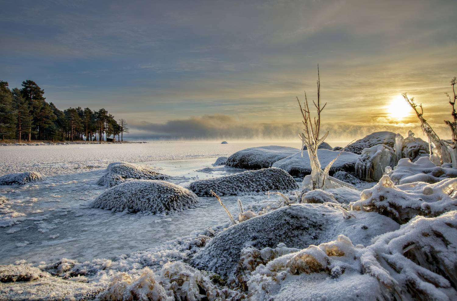 , Шишпанов Игорь
