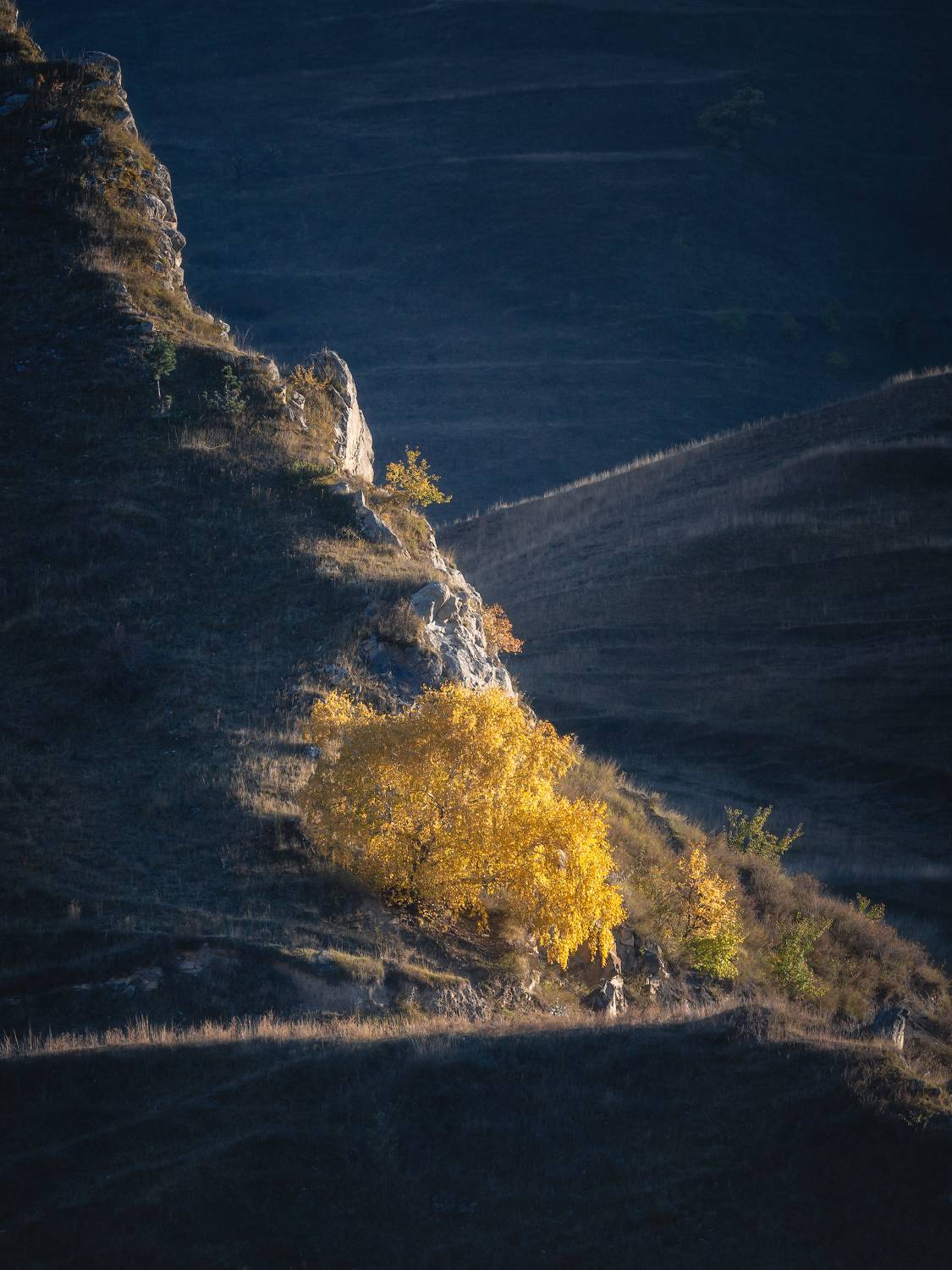 дагестан, Александр Писарев