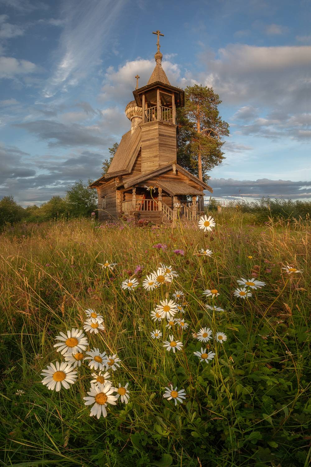 , Константин Маланин