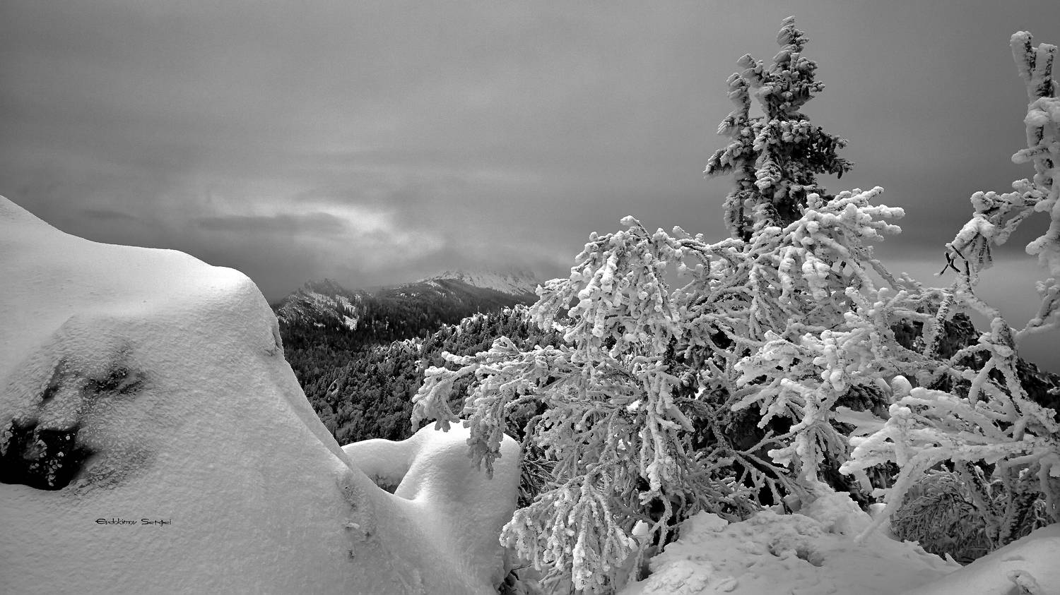 , Евдокимов Сергей
