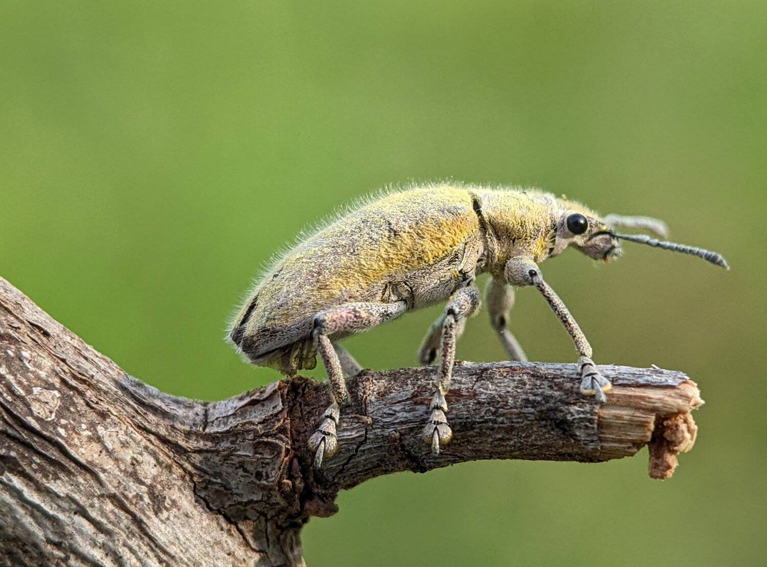 , QUYET NGUYEN TRONG