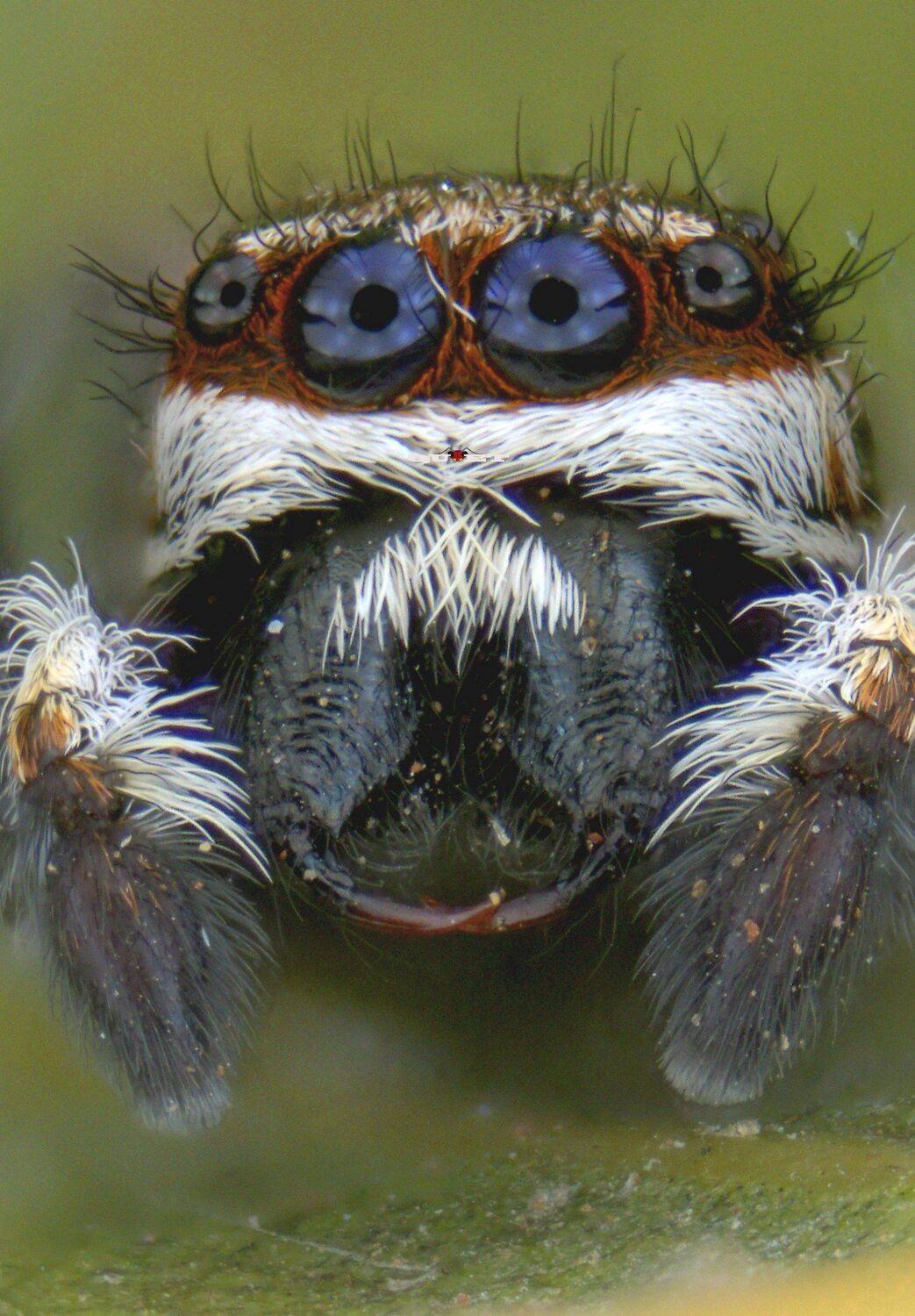 , QUYET NGUYEN TRONG