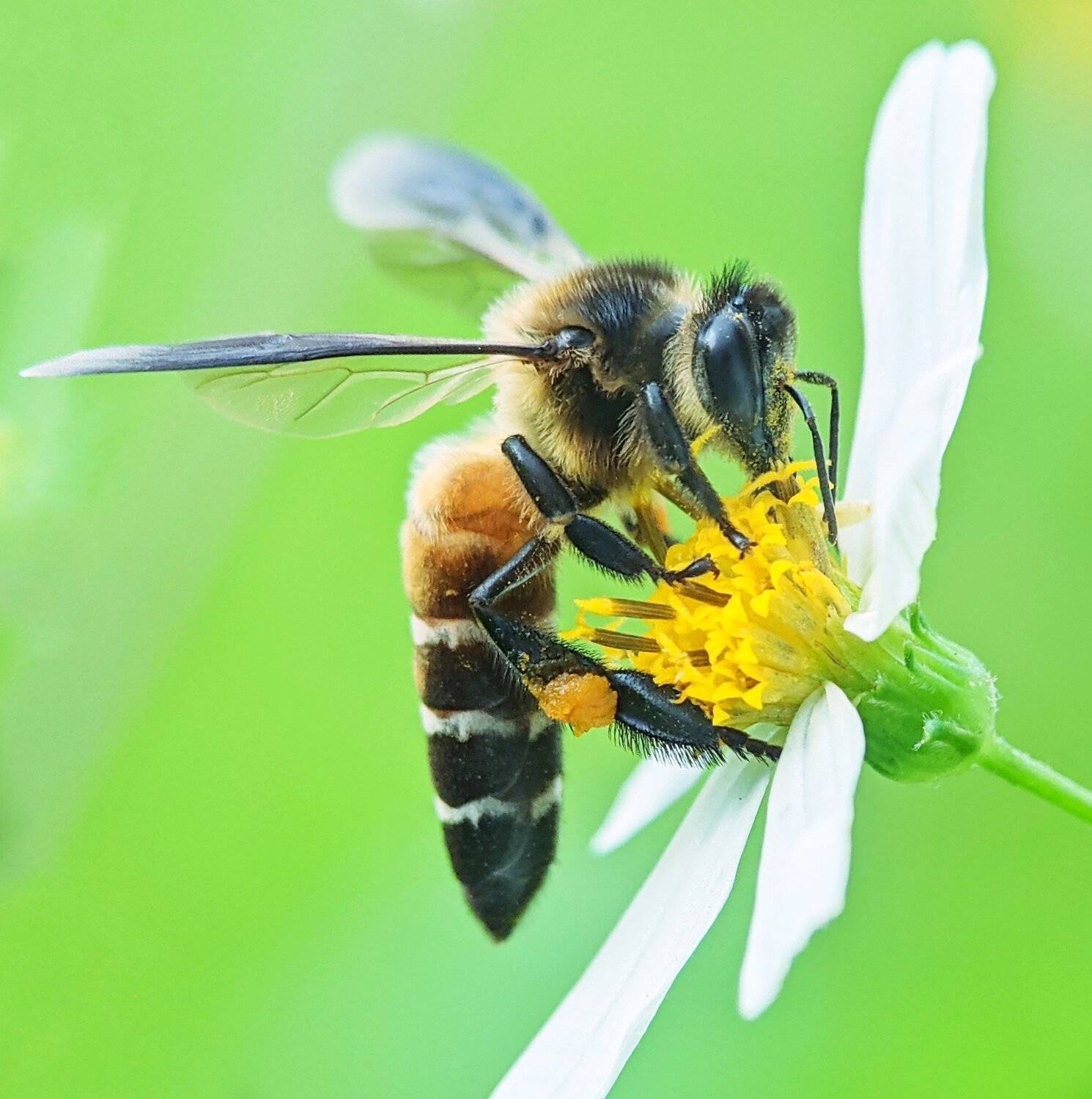 , QUYET NGUYEN TRONG