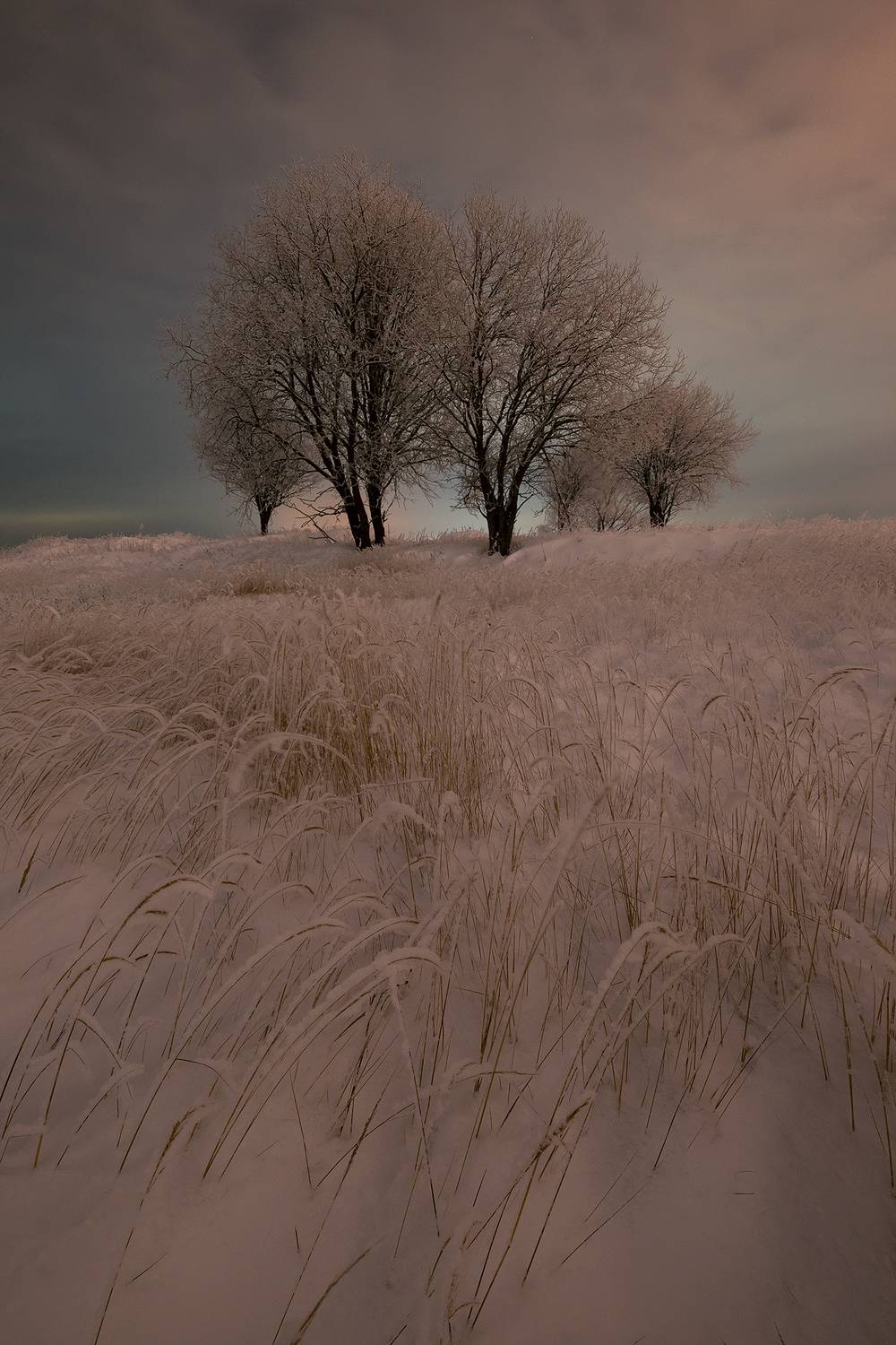 , Стрельцов Виталий