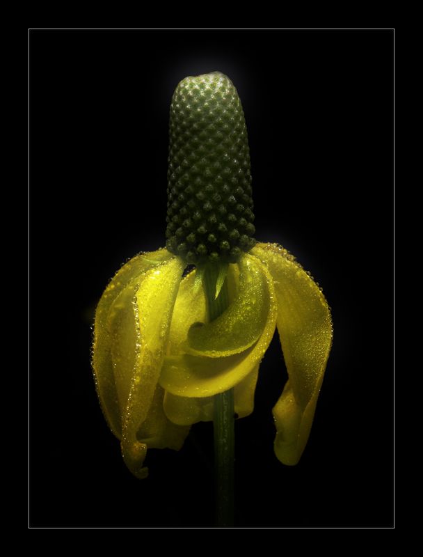 - - фото превью