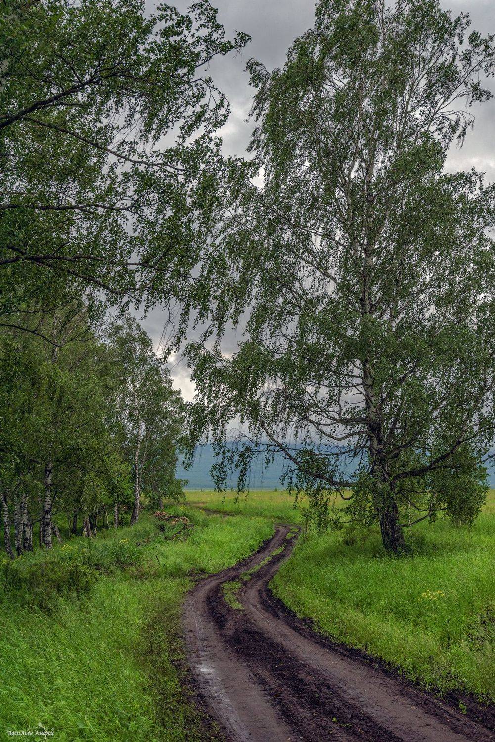 лето, природа, челябинская область, Vasilyev Andrey