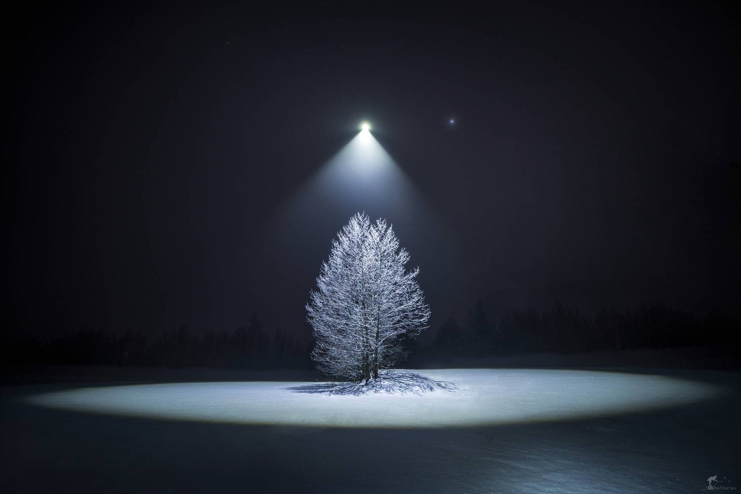 , Дарина Соболь