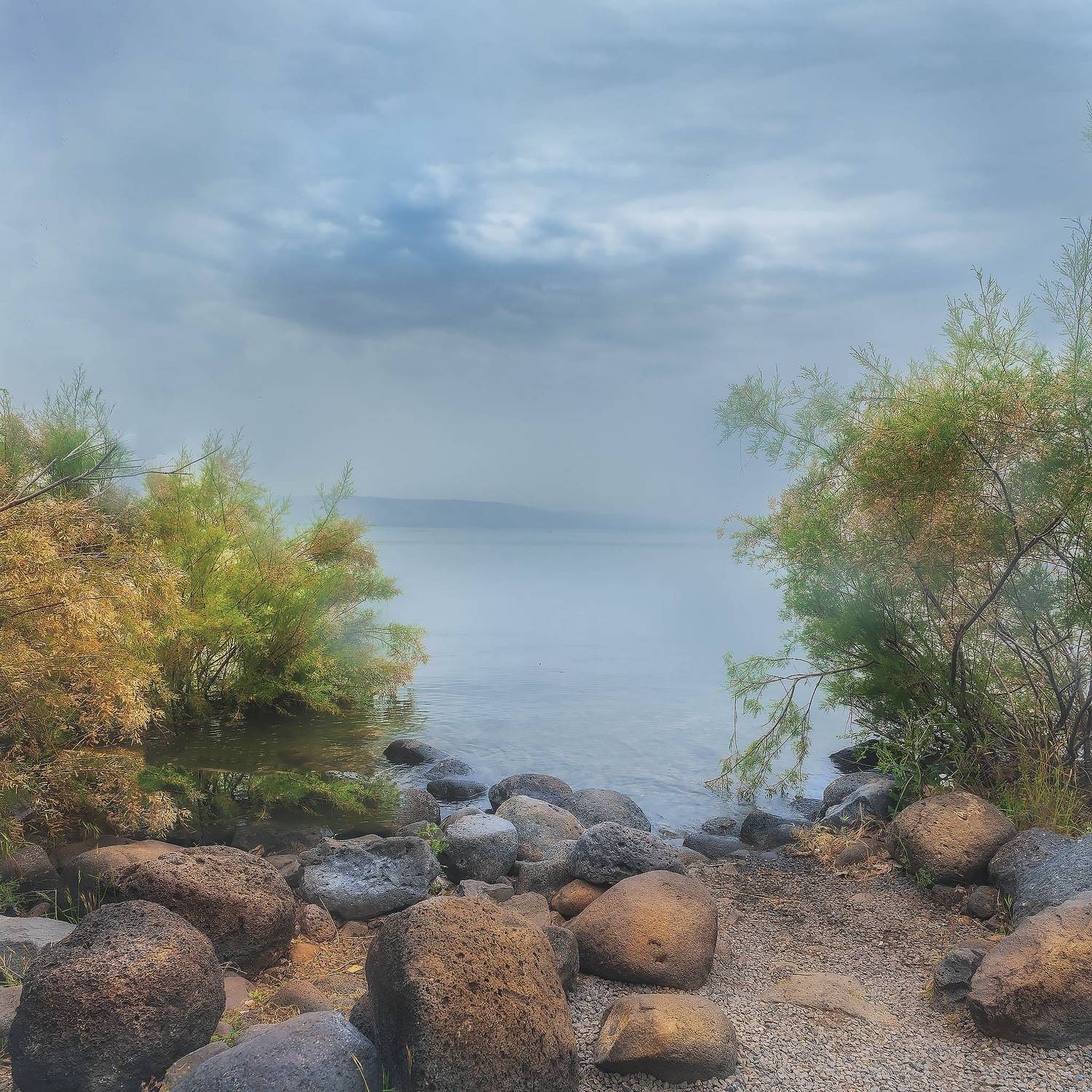 , Владимир Поляков