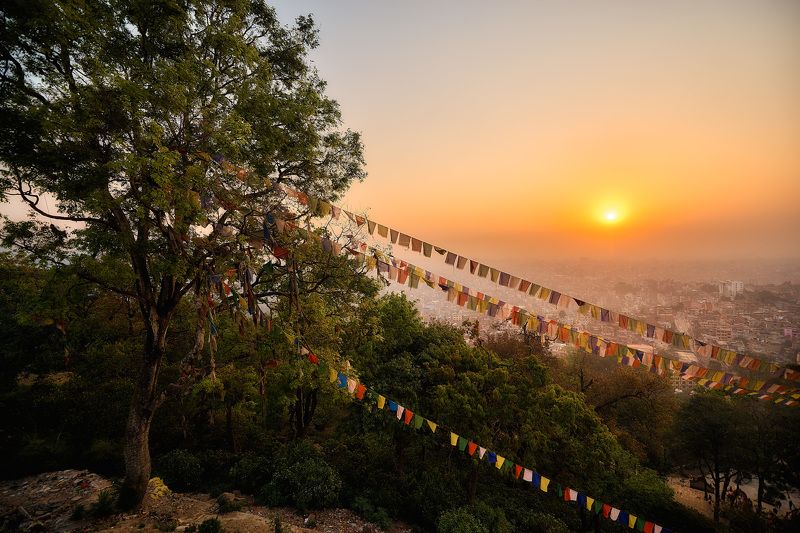 Звезда, дарующая жизнь. фото превью