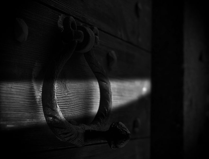 El Timbre фото превью