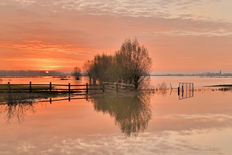 Flood. фото превью