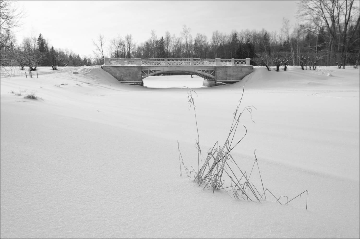 , Георгий Сапожников