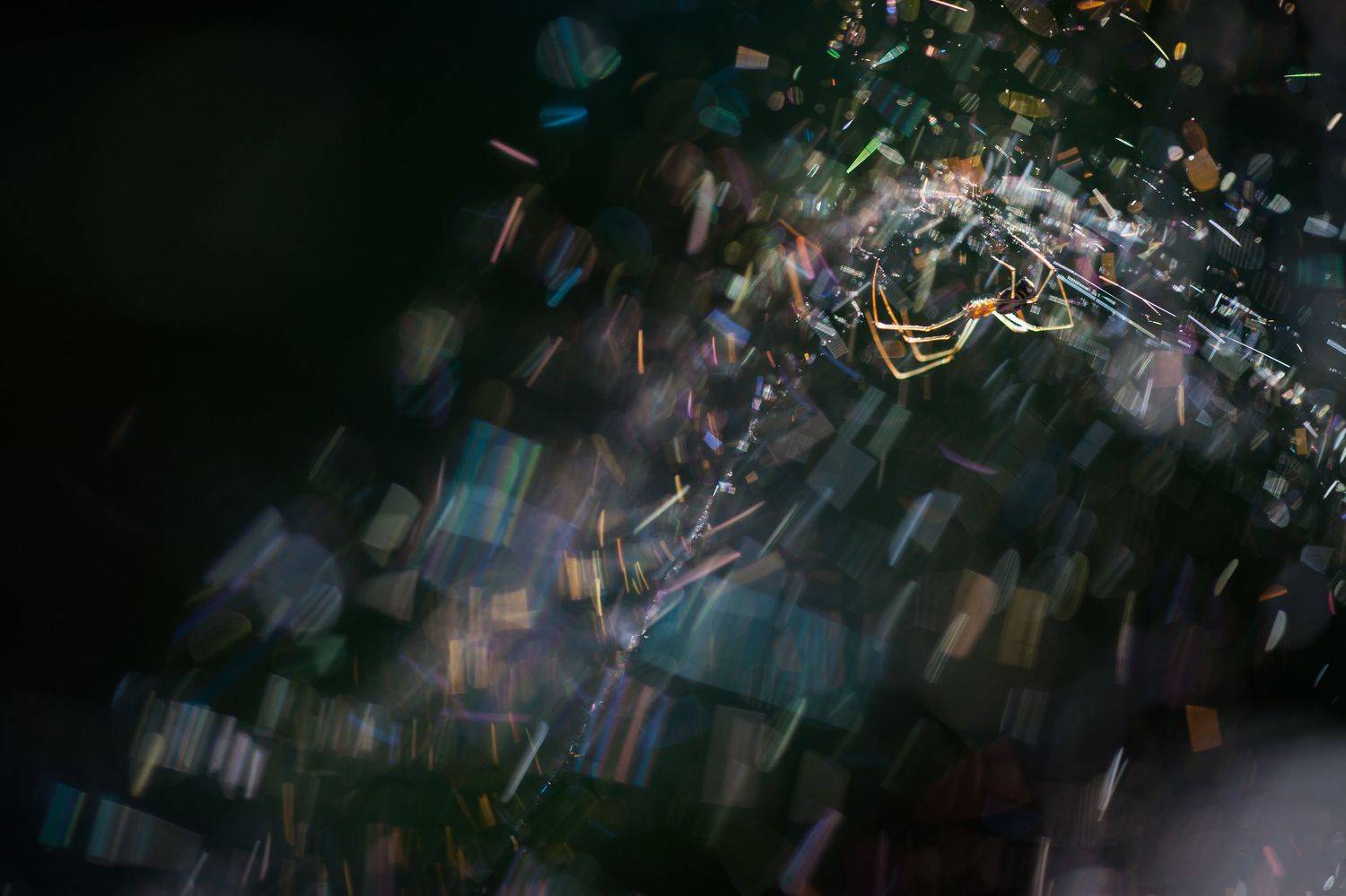 , Викулов Николай