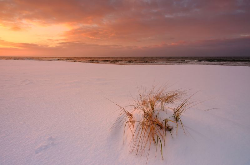 Winter coast of the Baltic Sea фото превью