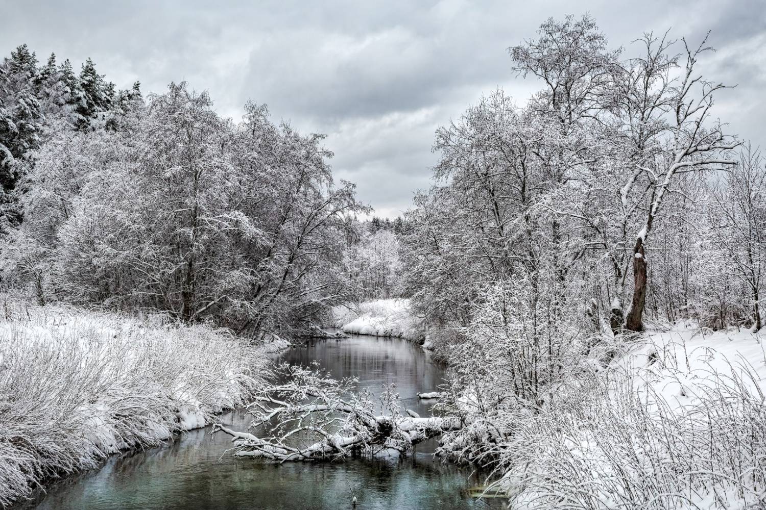, Евгений Ерохин