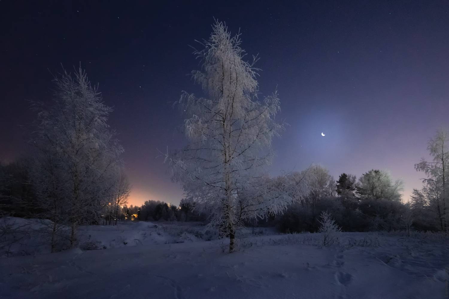 , Евгений Луцко