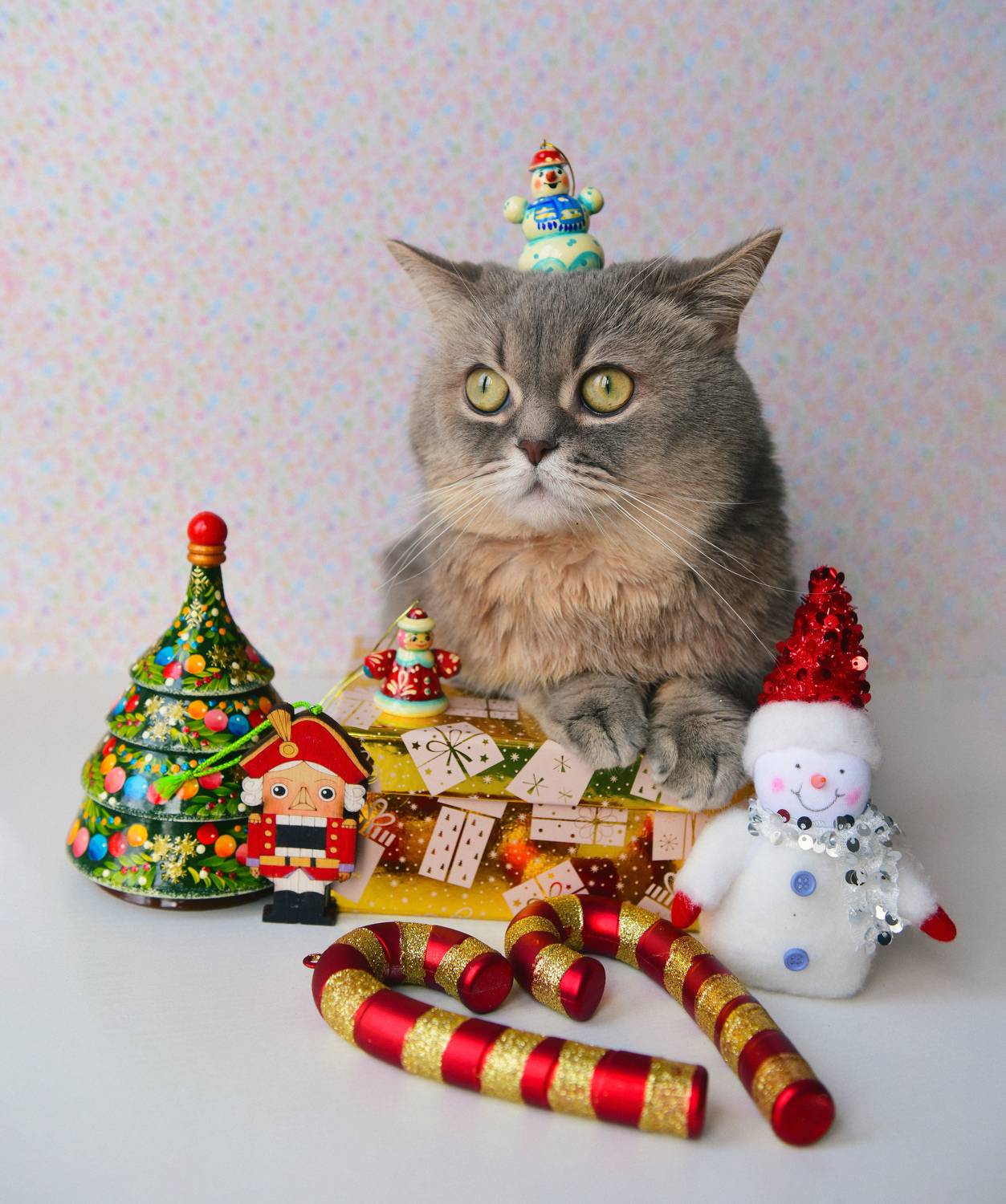 , Божена Пучко