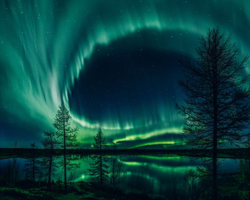 ямал, арктика, север, полярное сияние В осеннем танце фото превью