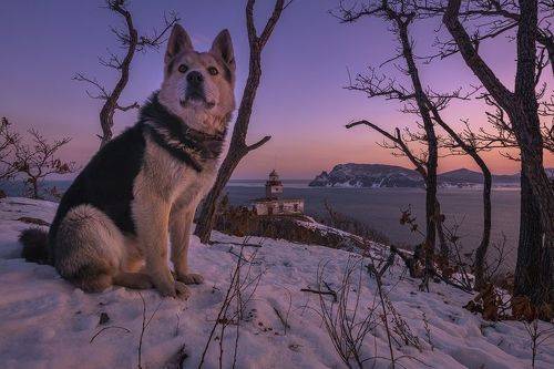 У маяка Балюзек, Приморье