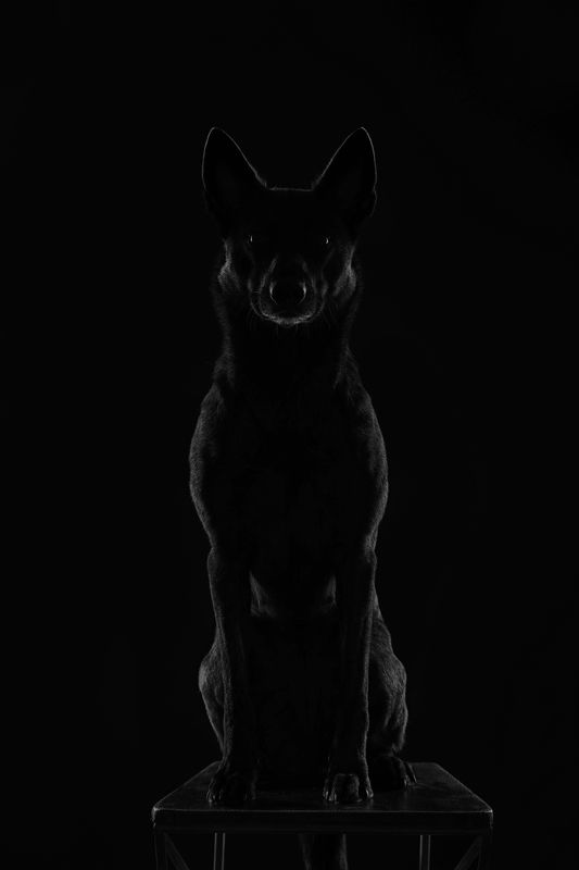 * * * фото превью