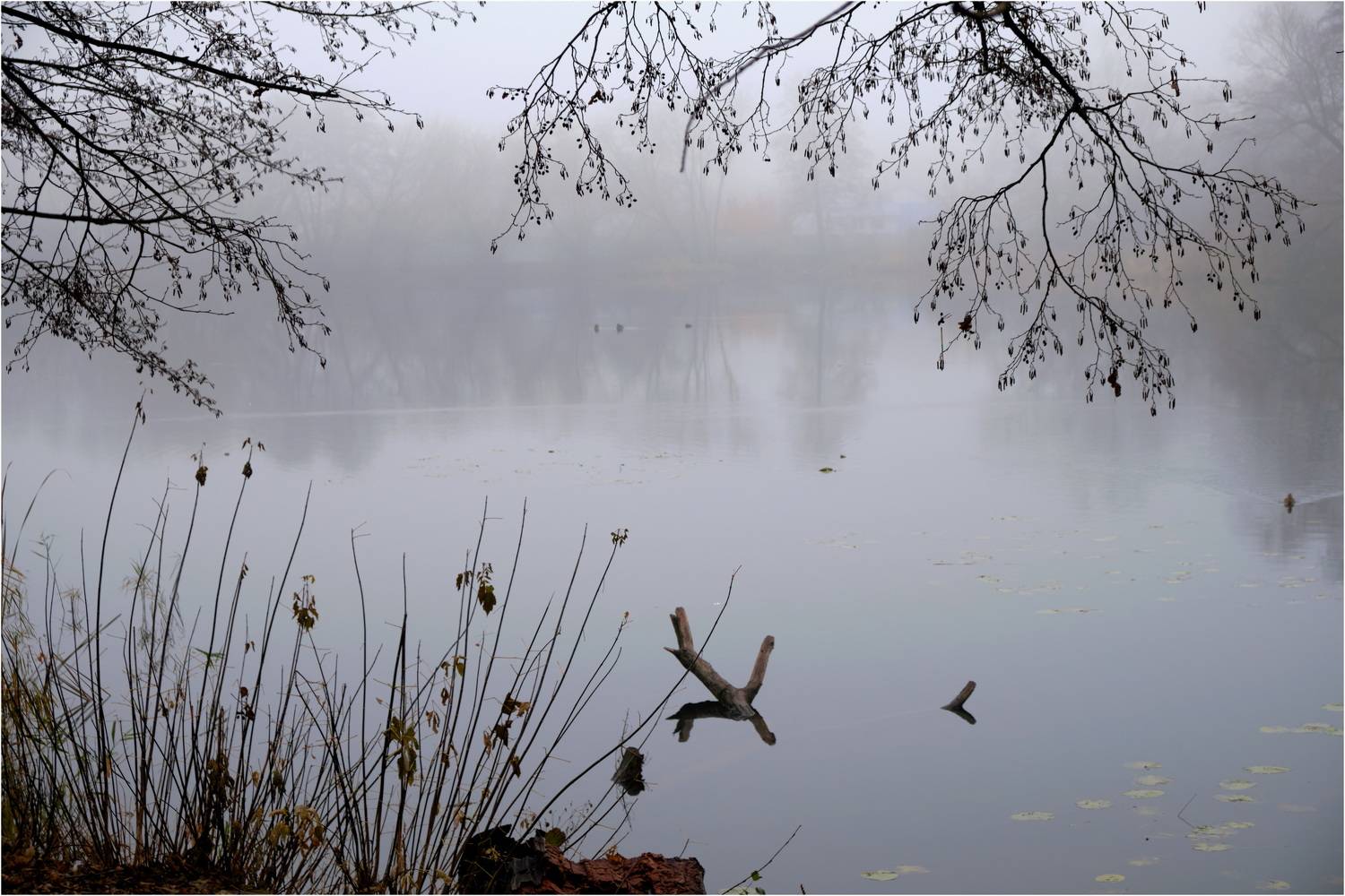 , Владимир Краснов