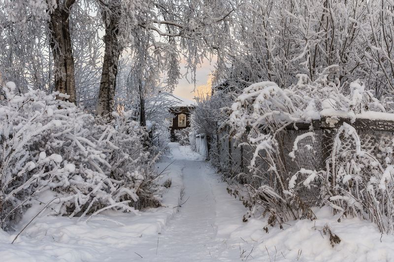 зима, иней, мороз, декабрь, деревья, кусты, дорожка, забор, дом, иней, соломбала, архангельск Замороженная Соломбала фото превью