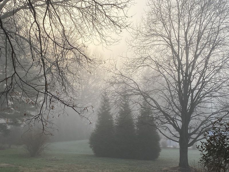 Foggy perspective Before the storm фото превью