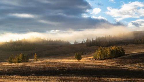 Туманный рассвет