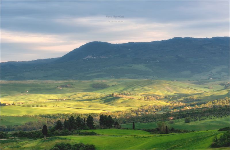 italy, san quirico d\'orcia,italia,италия,тоскана,pienza,кипарис,toscana,весна,tuscany,cipressi,belvedere,пьенца,тени //Солнечный островок// фото превью