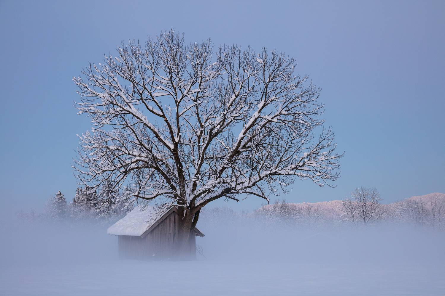 alps, mountains, germany, winter, see, kochelsee, deutschland,  Gregor