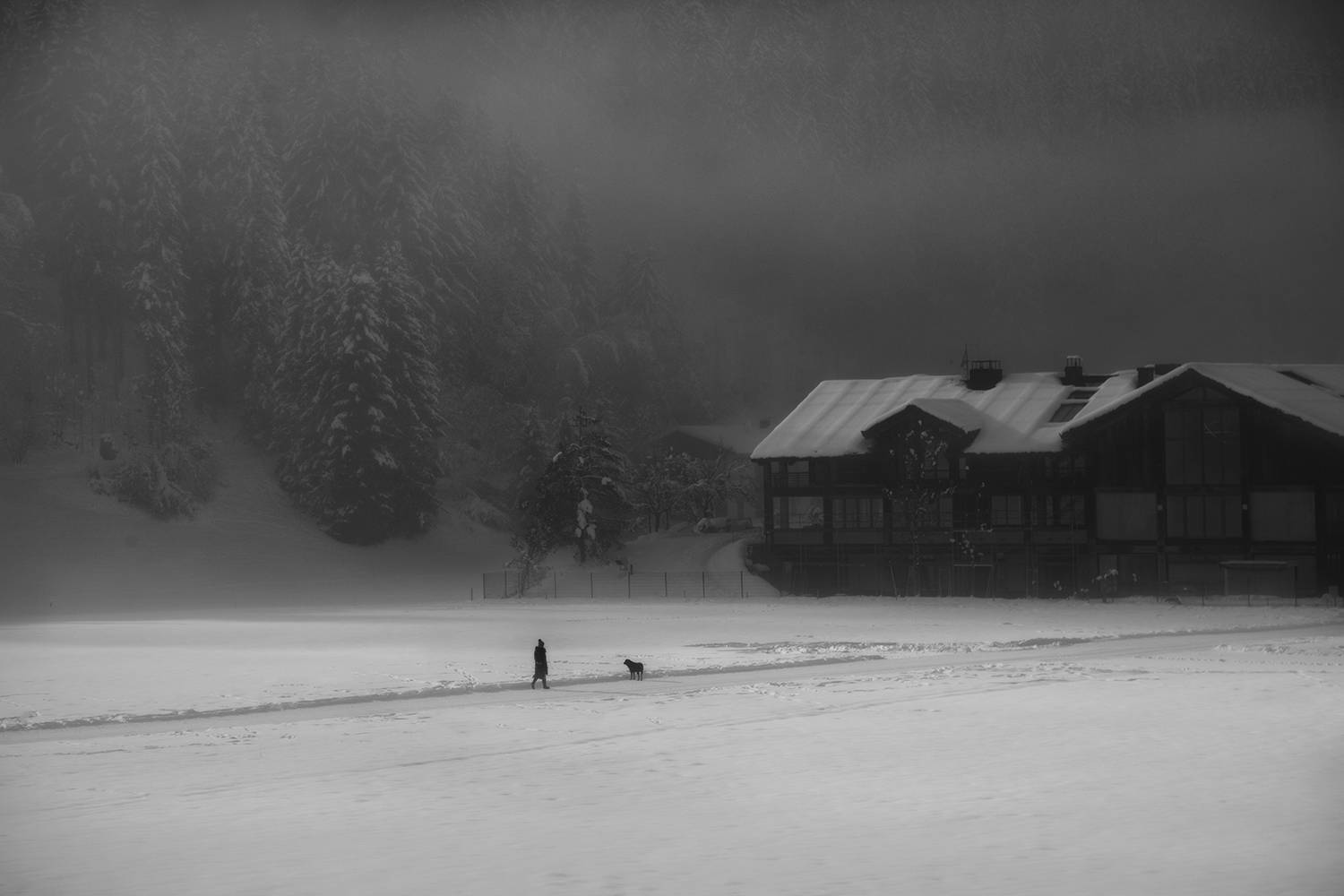 , Desislava Kuleshova