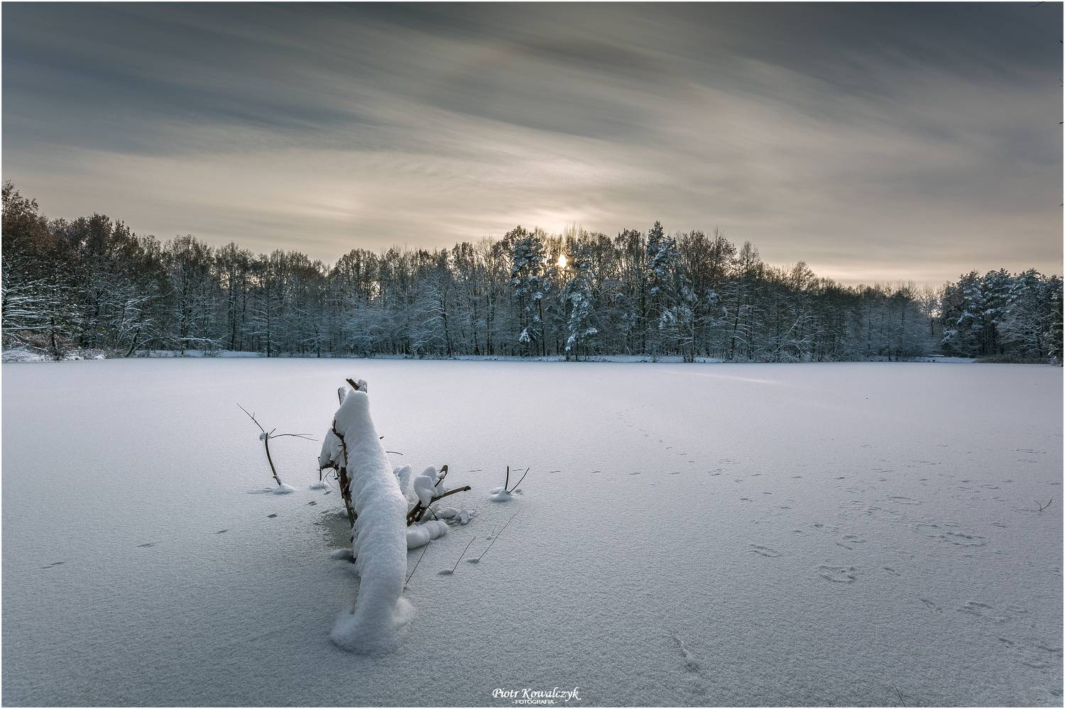 polska, zima, las, Kowalczyk Piotr