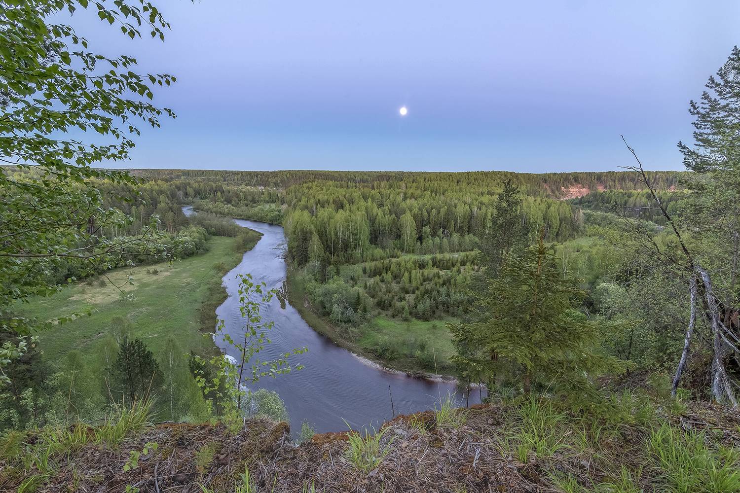 ночь, луна, берег, обрыв, лес, река, стрельня,, Анкудинов Леонид