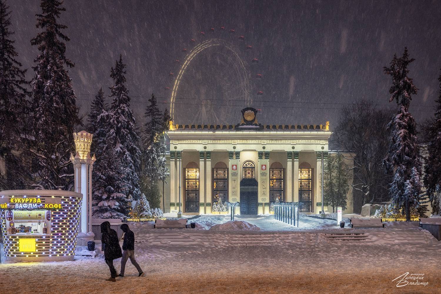 вднх, снег, метель, зима, Липецких Владимир