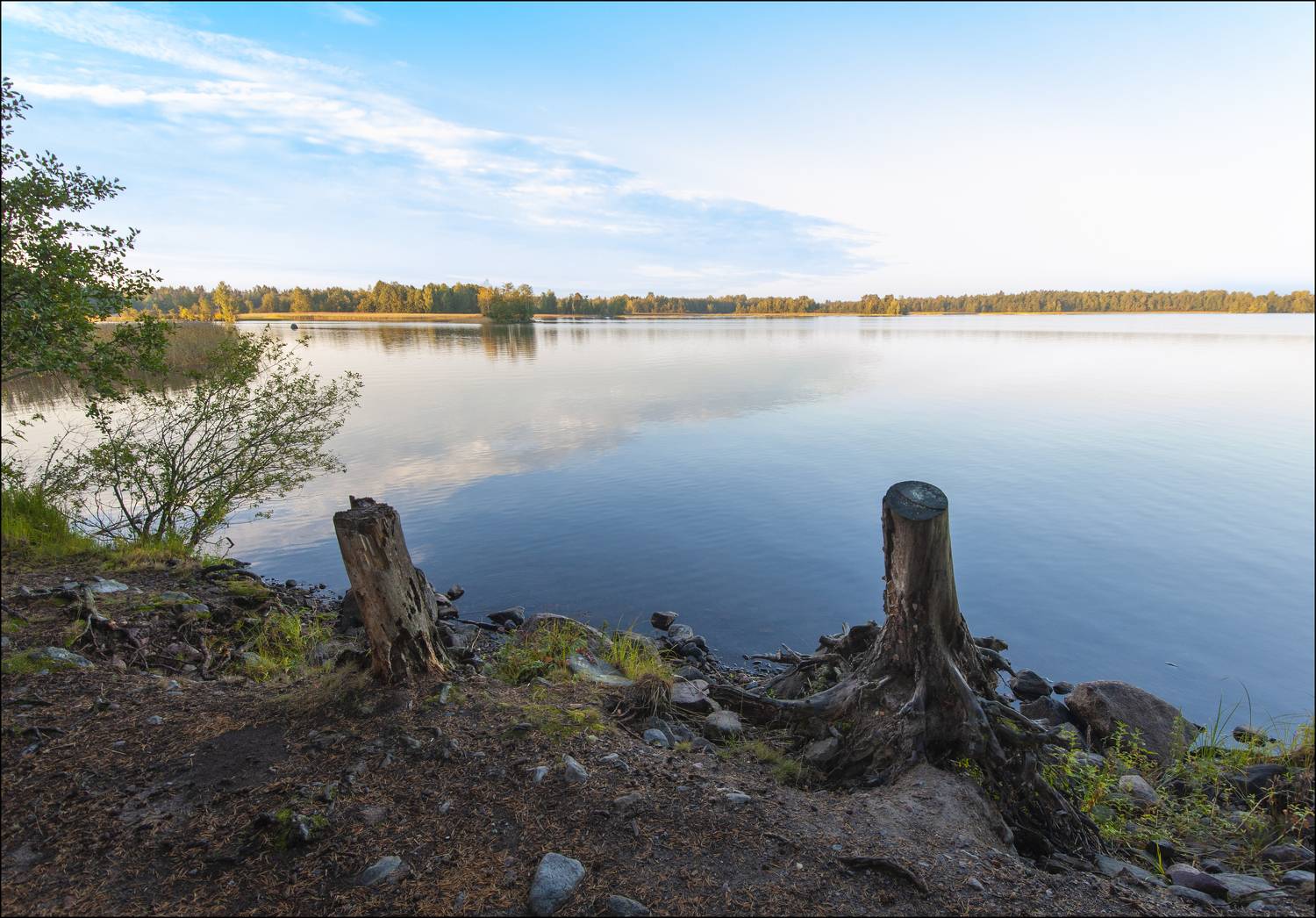 , Георгий Сапожников