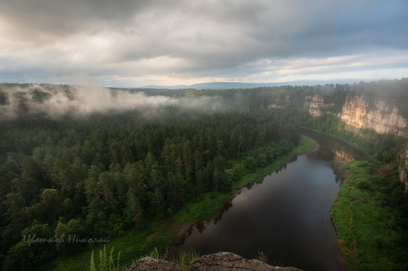 туман, рассвет * фото превью