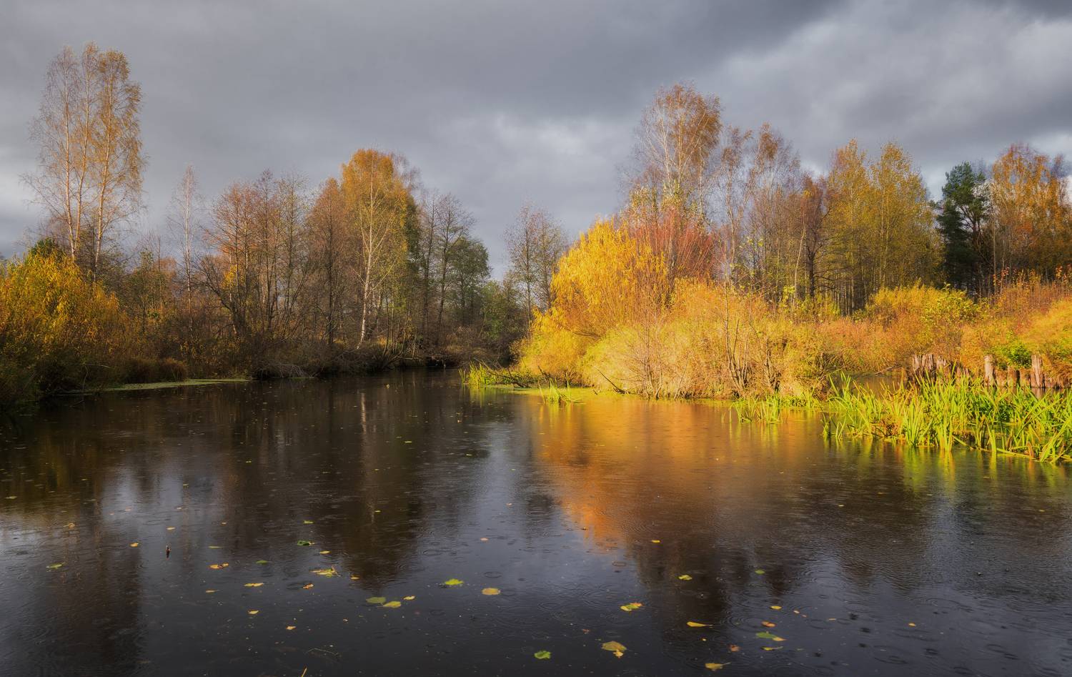 осень река деревья небо, Колесов Андрей