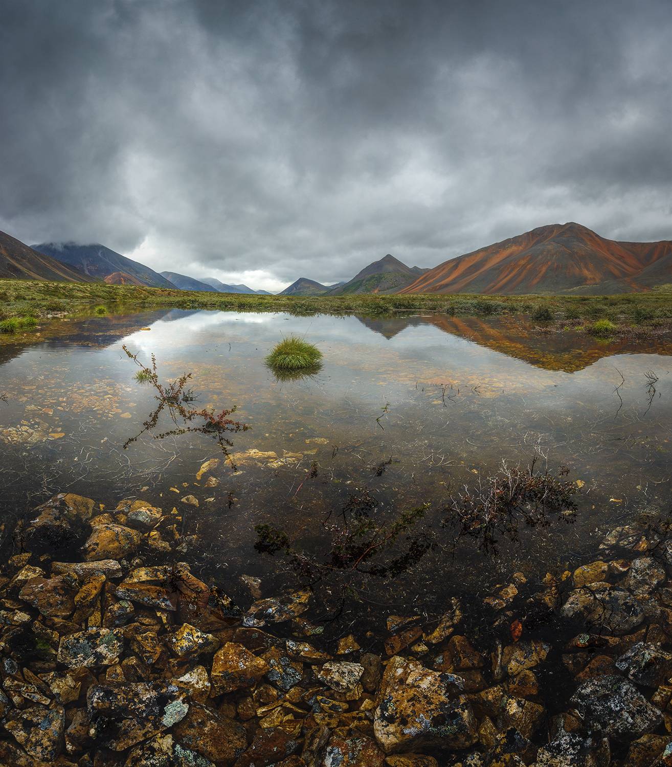 , Андреев Николай