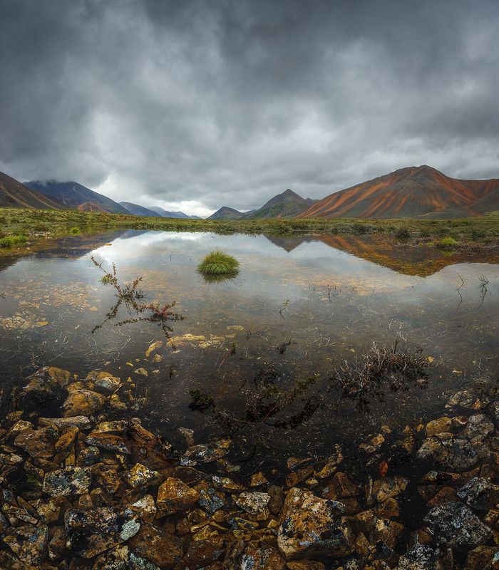 Чукотка 2023 фото превью