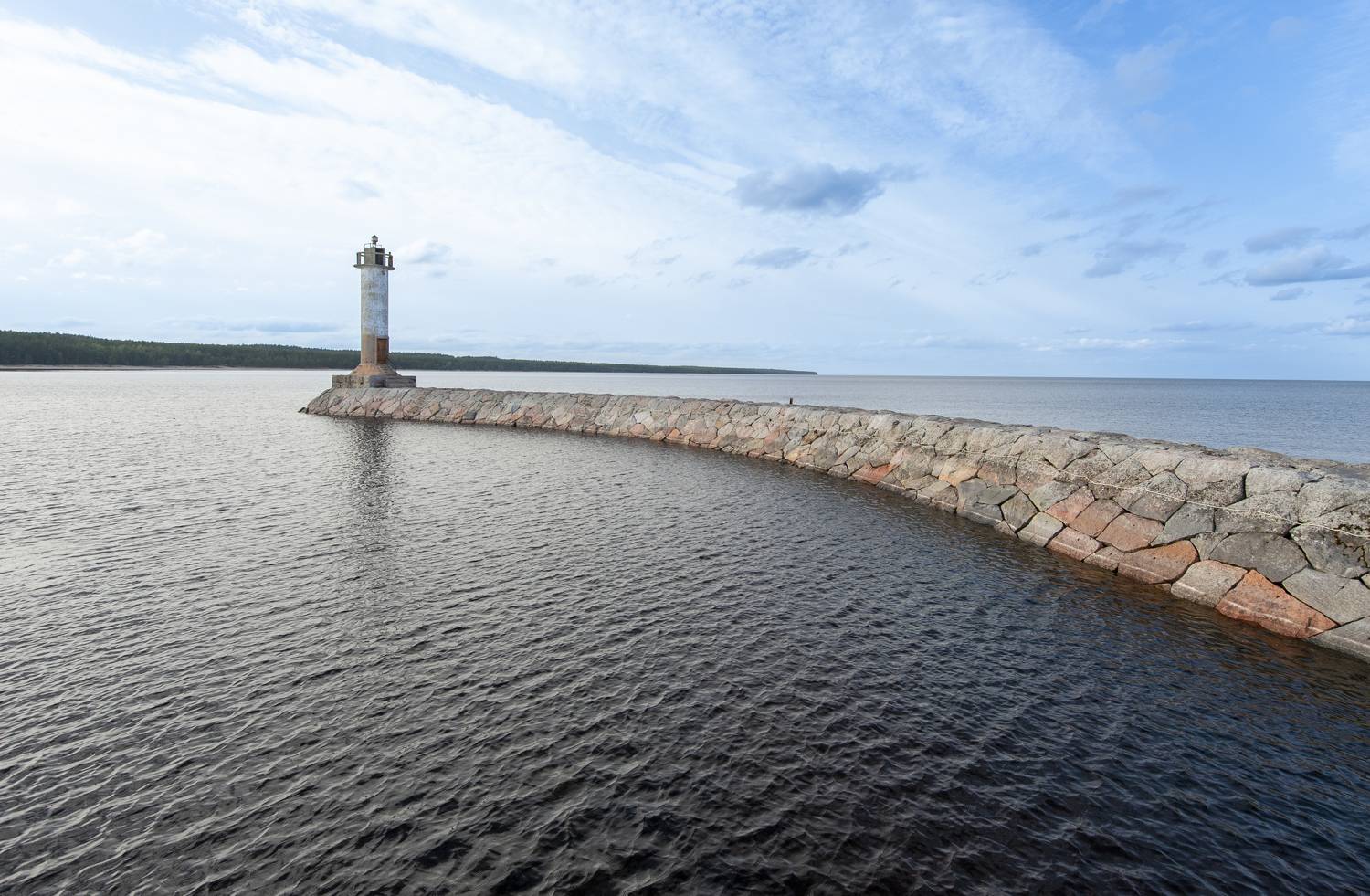 , Георгий Сапожников