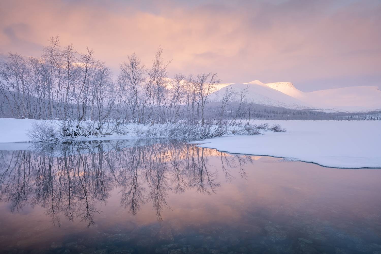 , Максим Евдокимов