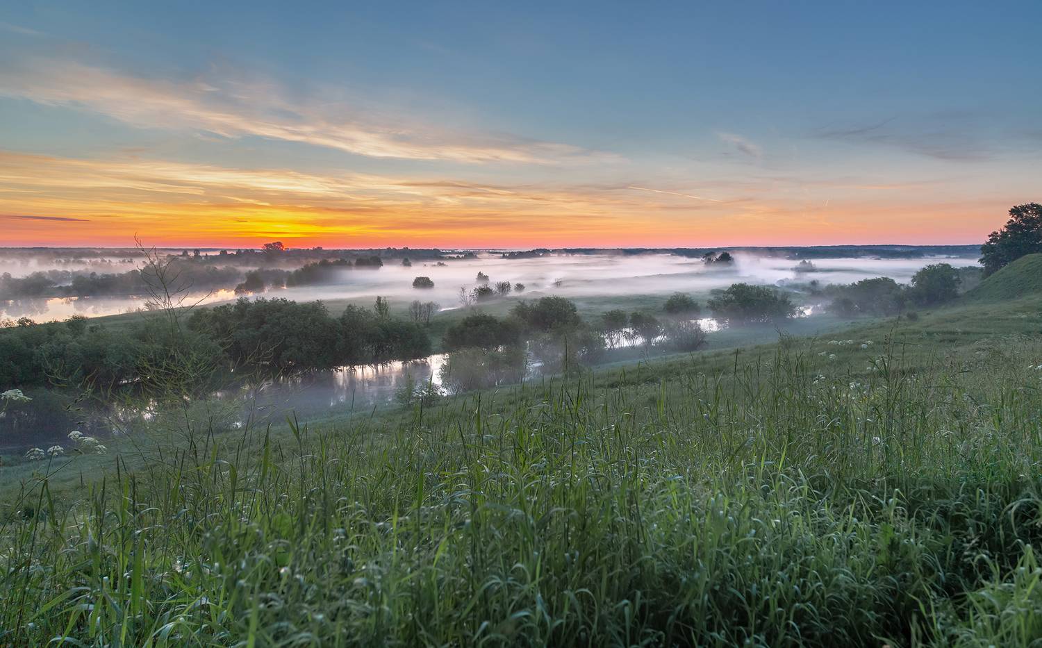 утро, туман, низина, трава, поле, восход, речка, кустарник, Анкудинов Леонид